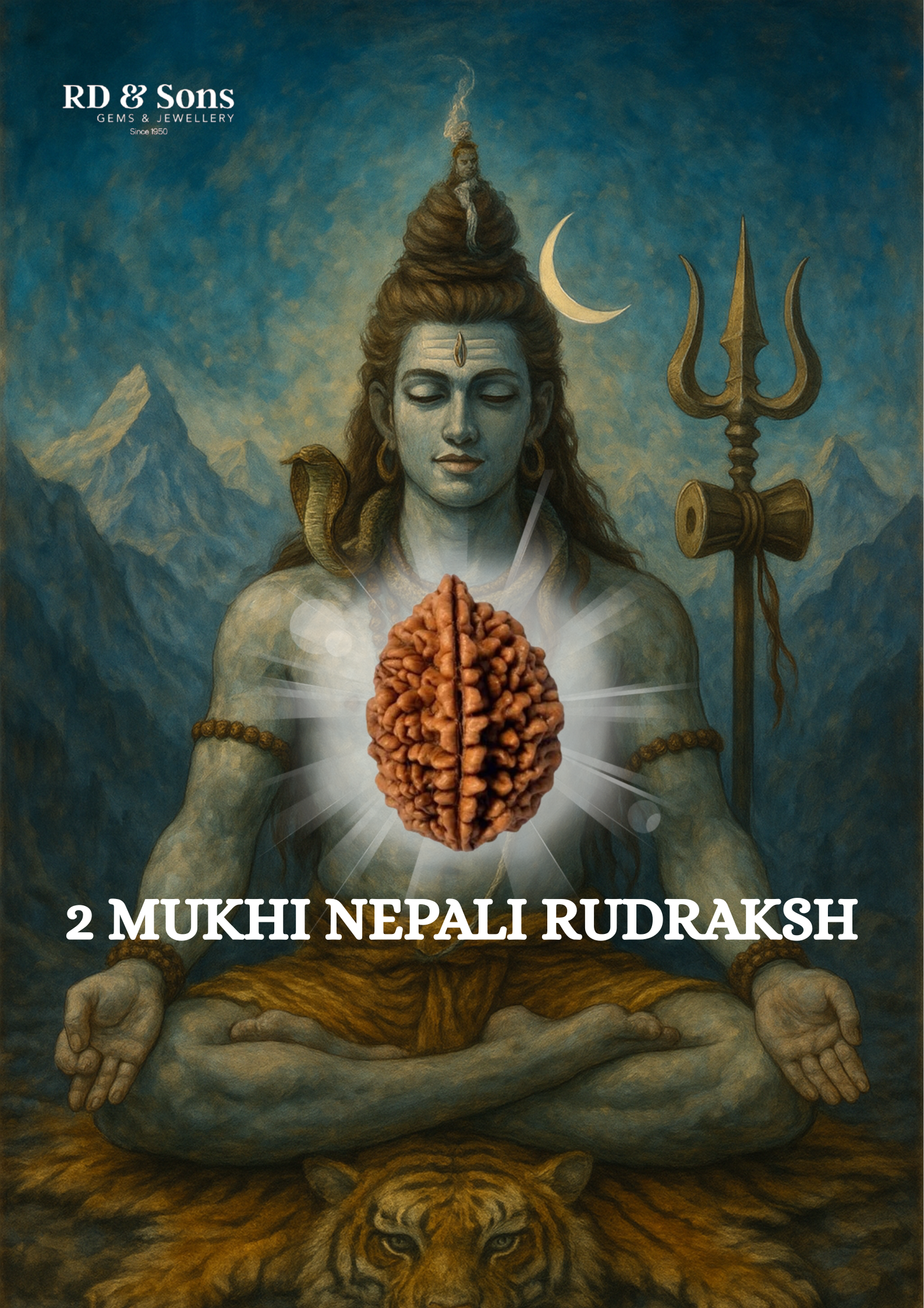 Pure 2 Mukhi Nepali Rudraksh – Authentic and Natural