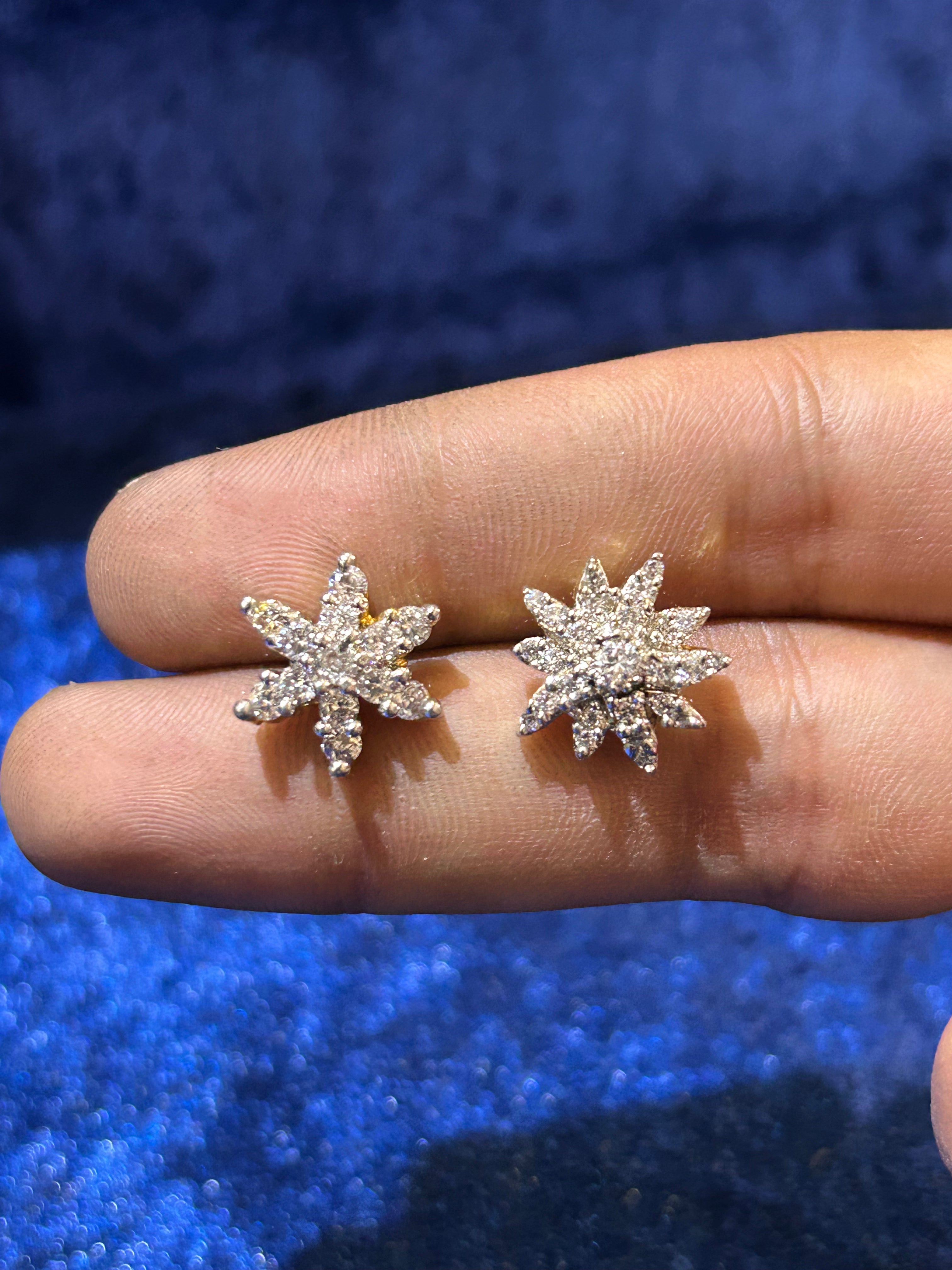 Silver Sheen – Elegant Earrings That Speak Your Style
