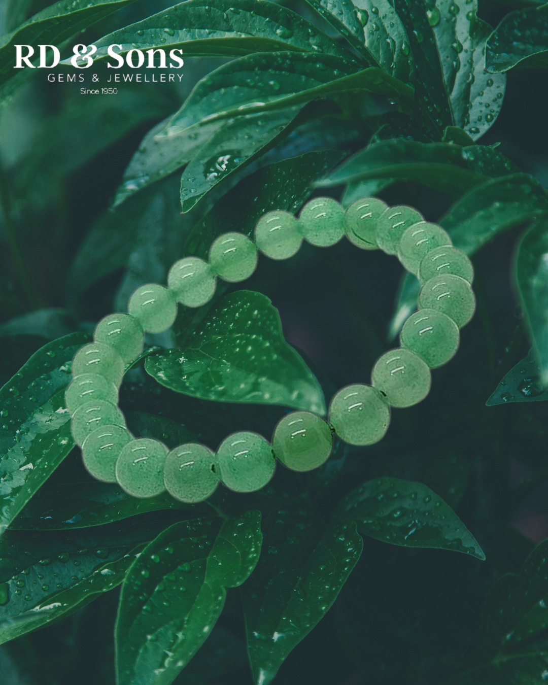 Aventurine Harmony Bracelet – Elegant Style to Encourage Fresh Beginnings