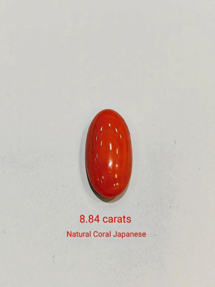 Rare Japanese Red Coral Moonga – A Distinctive Gemstone Choice